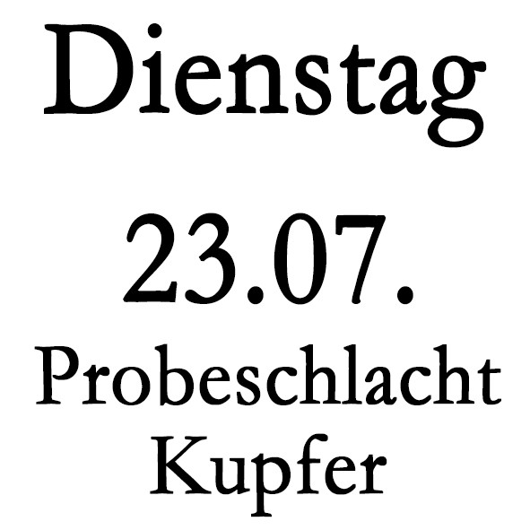 Dienstag 23.07. Probeschlacht bei Kupfer